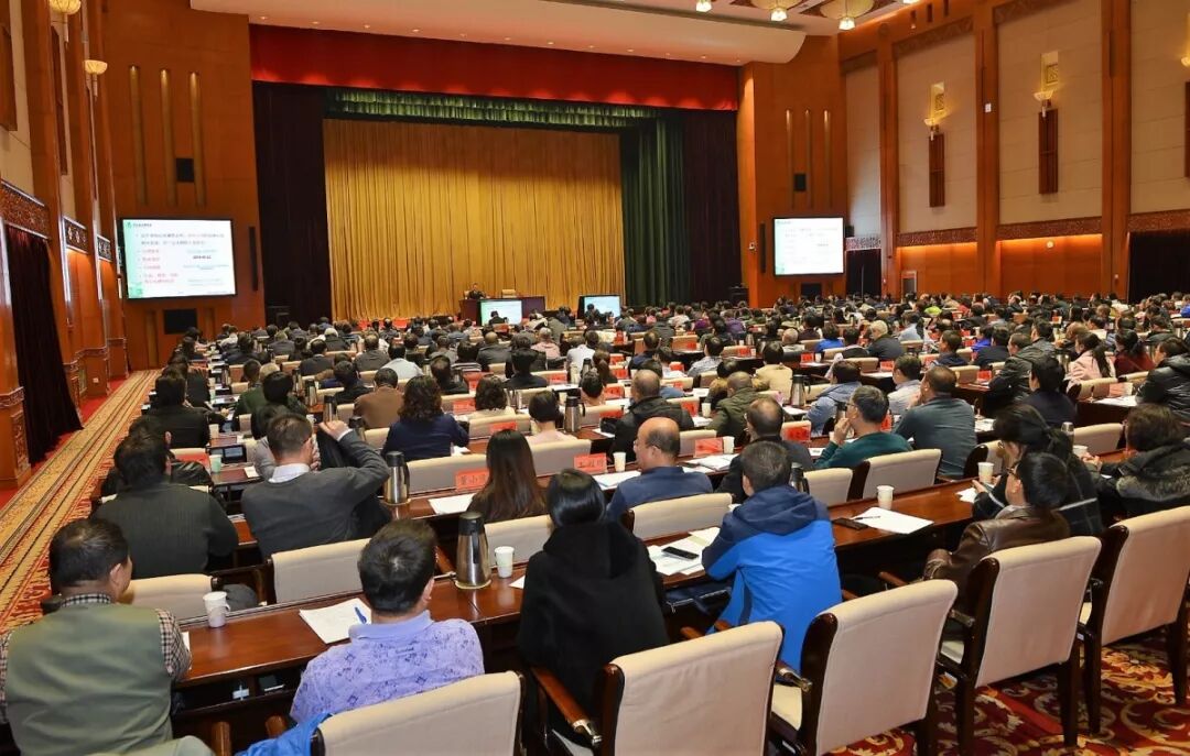 2018，全区组织工作精彩回眸