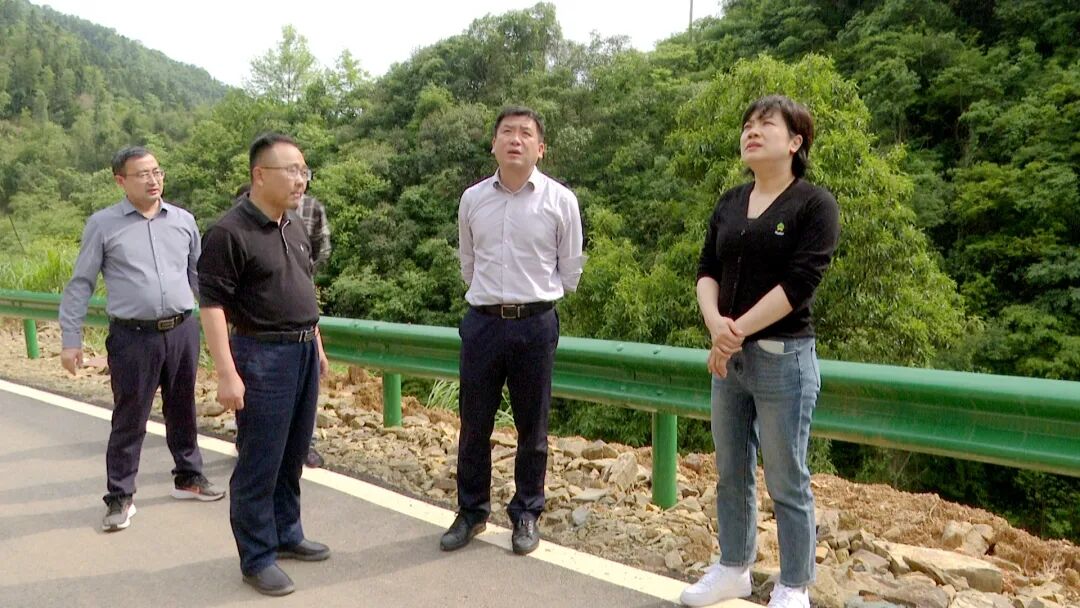 张宇峰调研督导地质灾害防治和防汛备汛工作