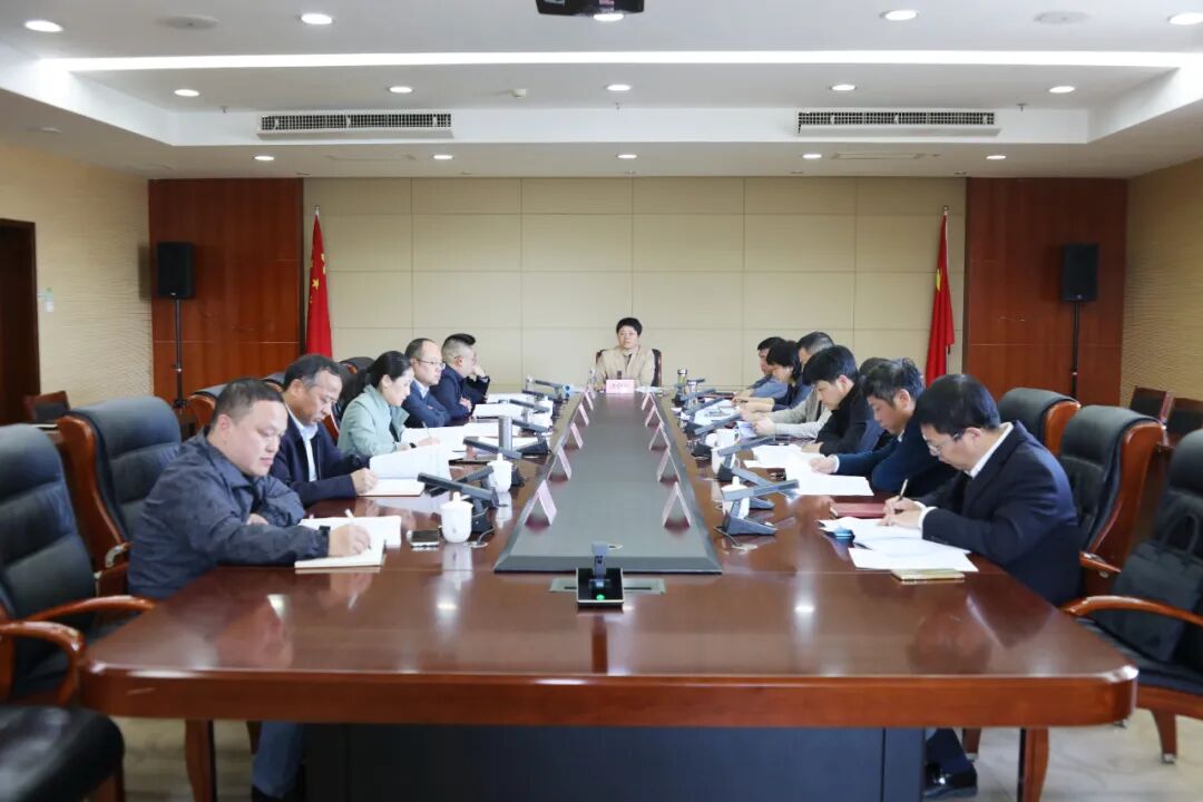 武宁县委书记洪碧霞主持召开县委审计委员会第十一次会议