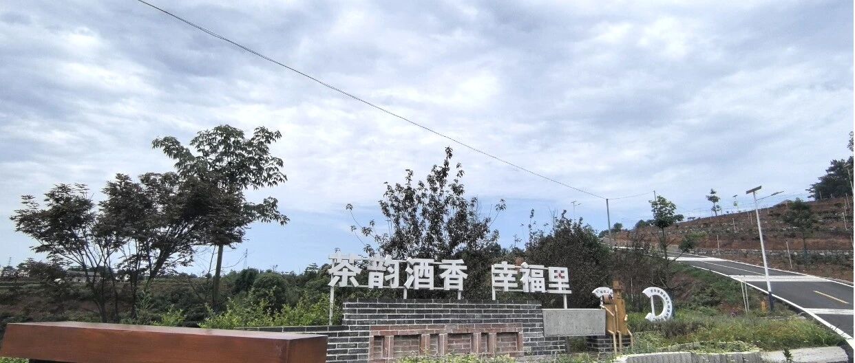 cover_image