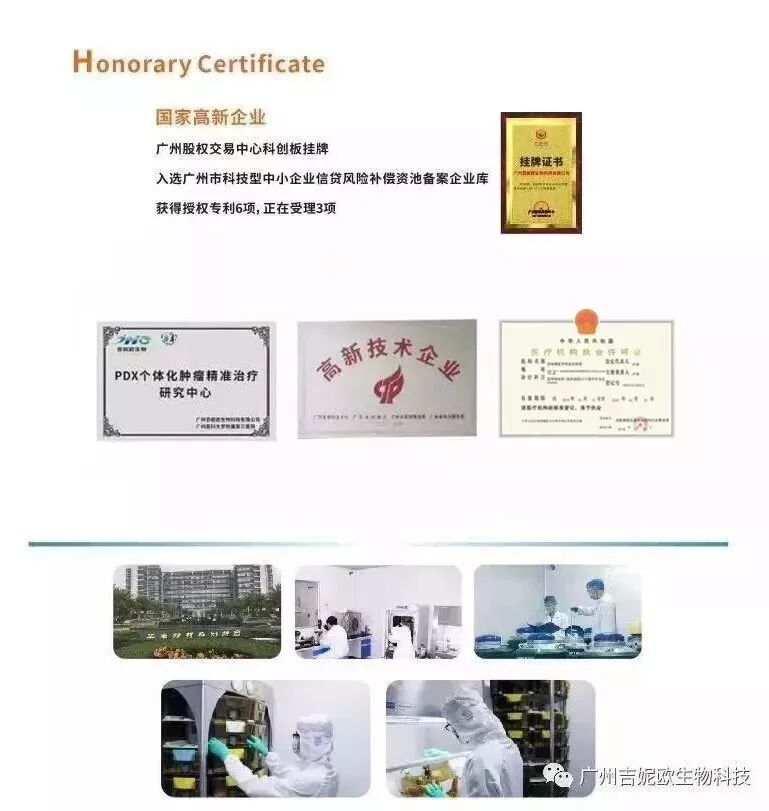 干货分享丨 HBV 动物模型解析