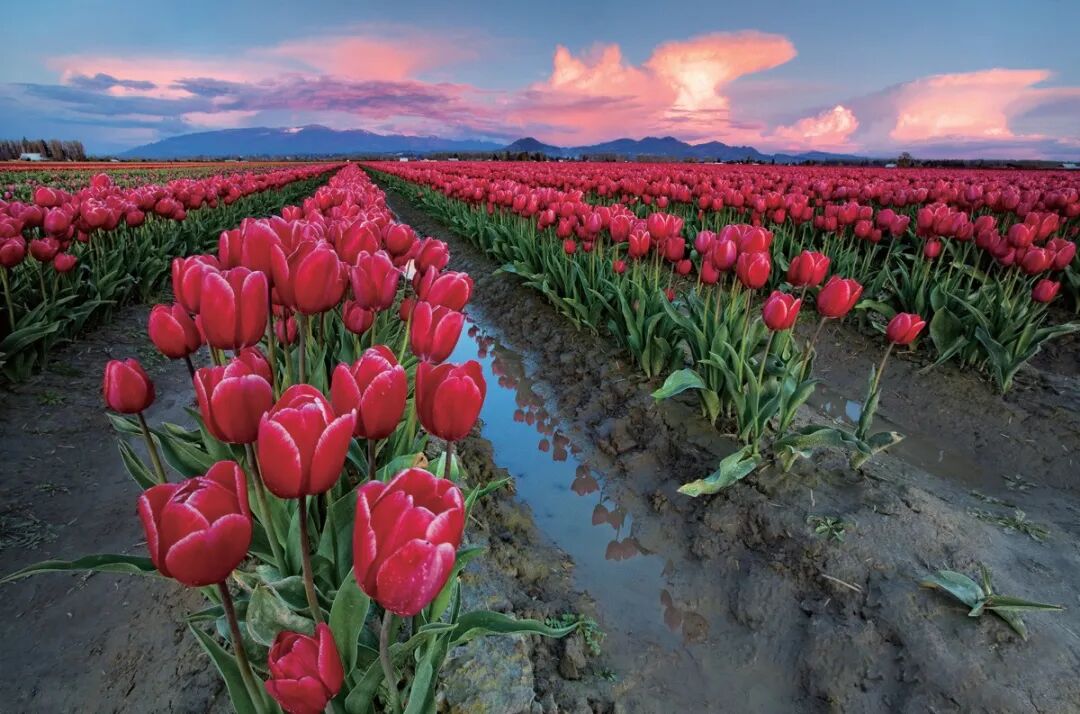 光圈模糊背景大怎么办_光圈越大背景越模糊吗_光圈模糊背景大还是小