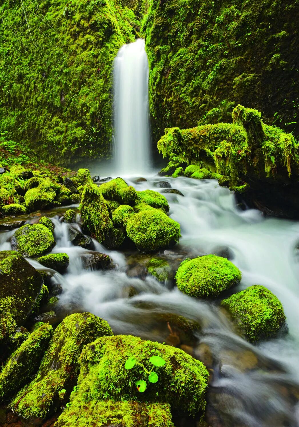 光圈模糊背景大还是小_光圈越大背景越模糊吗_光圈模糊背景大怎么办