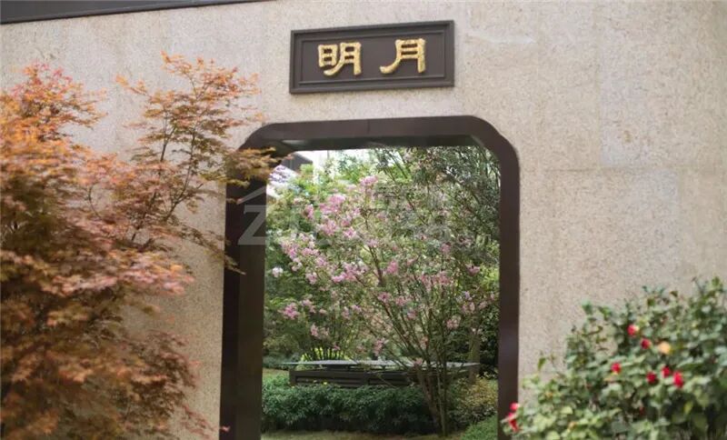 阿蒙看房实探中江楼市价格天花板碧水山居