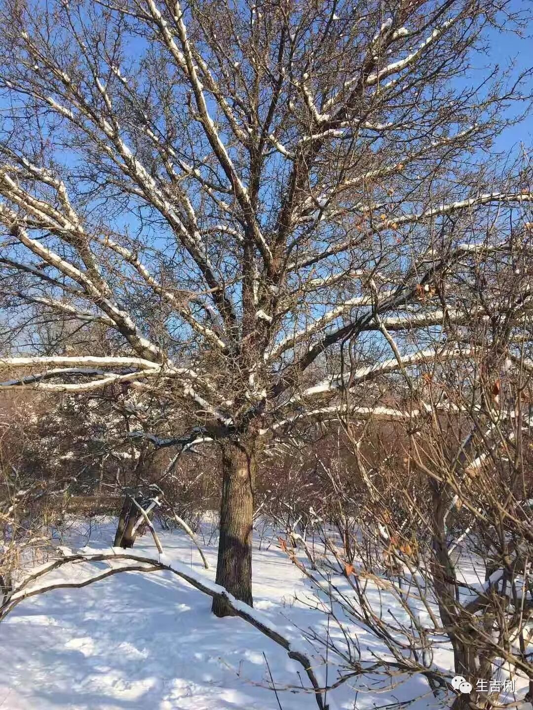 老家唱歌曲原唱是谁_老家歌曲原唱_老家演唱视频