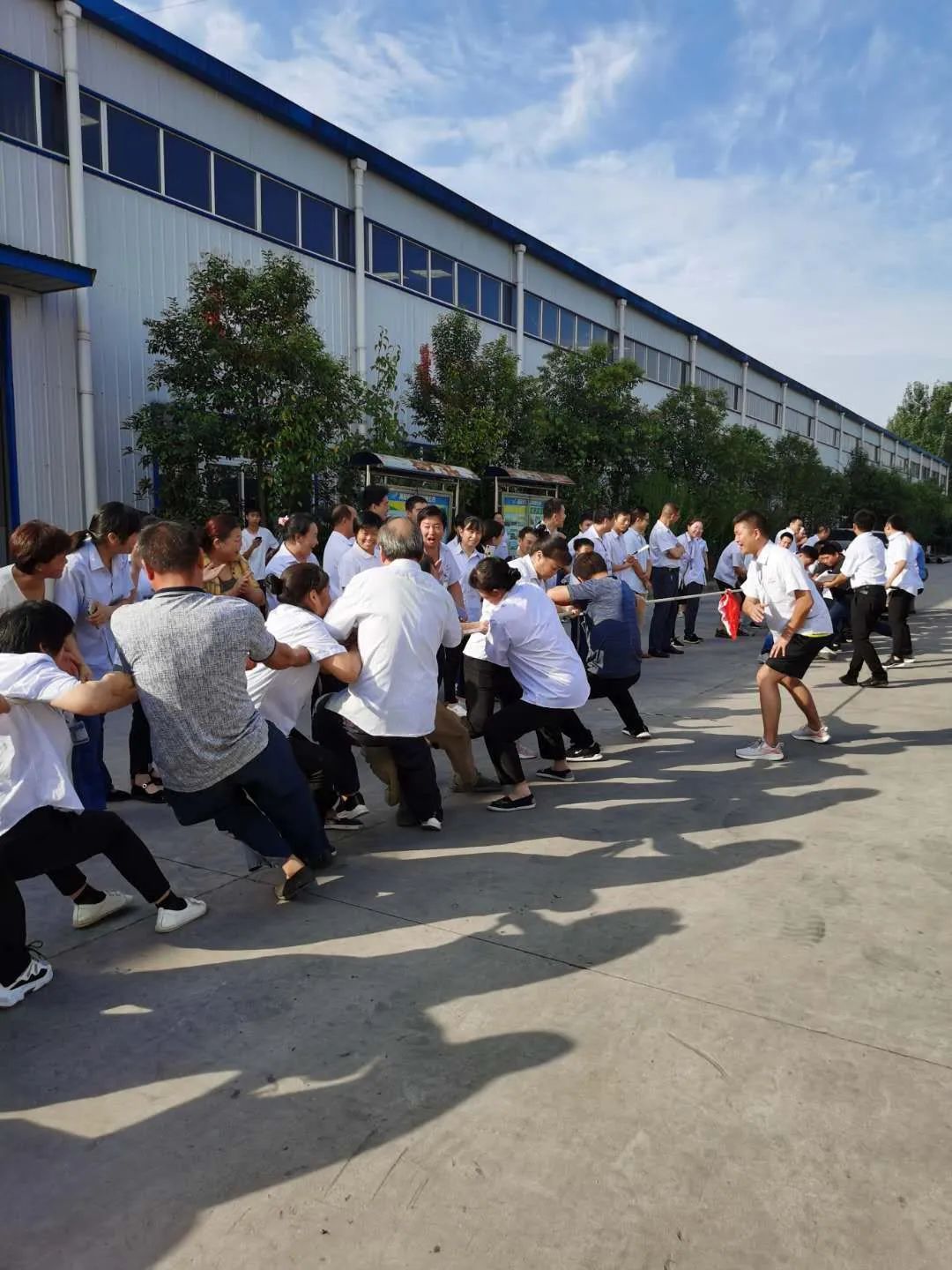 热烈祝贺南阳金牛电气有限公司第十二届职工运动会圆满成功(图4)