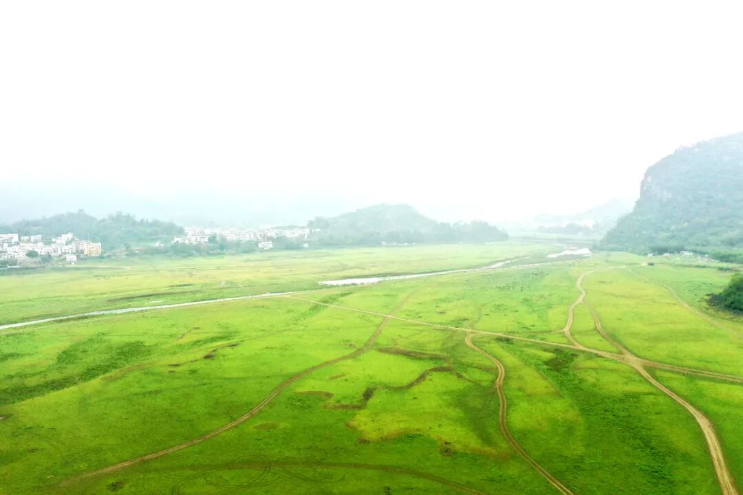 新时代新征程新伟业西燕镇四好农村路引领经济发展新活力