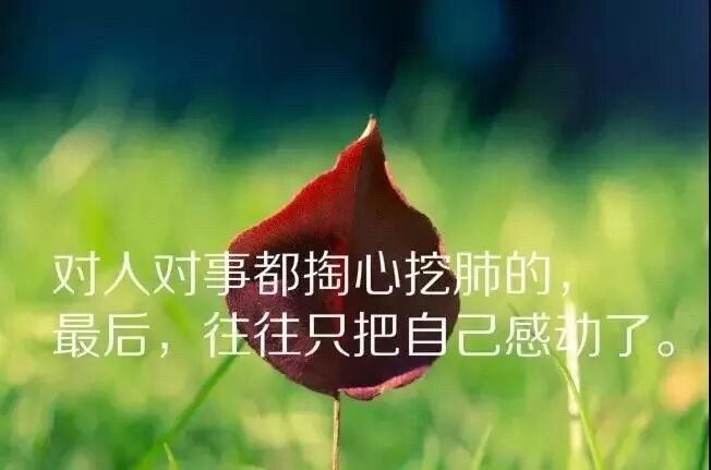 适合发朋友圈的早安语录,微商正能量早安语录句子__每日一句早安心语