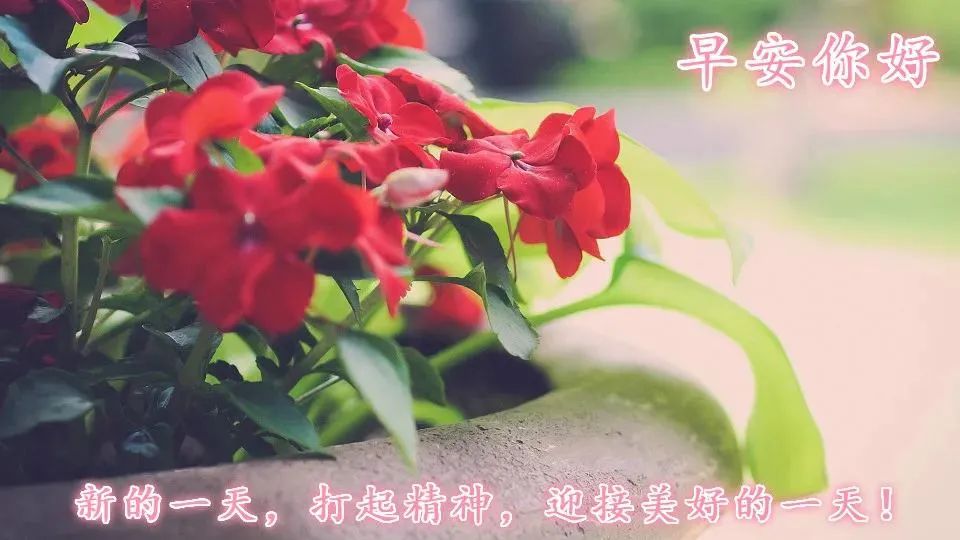 看淡生活就好的说说图片_看淡生活就好的说说图片_看淡生活就好的说说图片