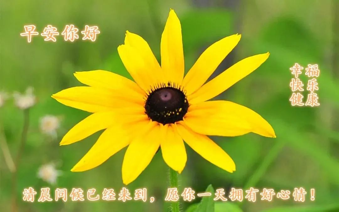 看淡生活美好的说说_看淡生活的文案_看淡一切好好生活的句子