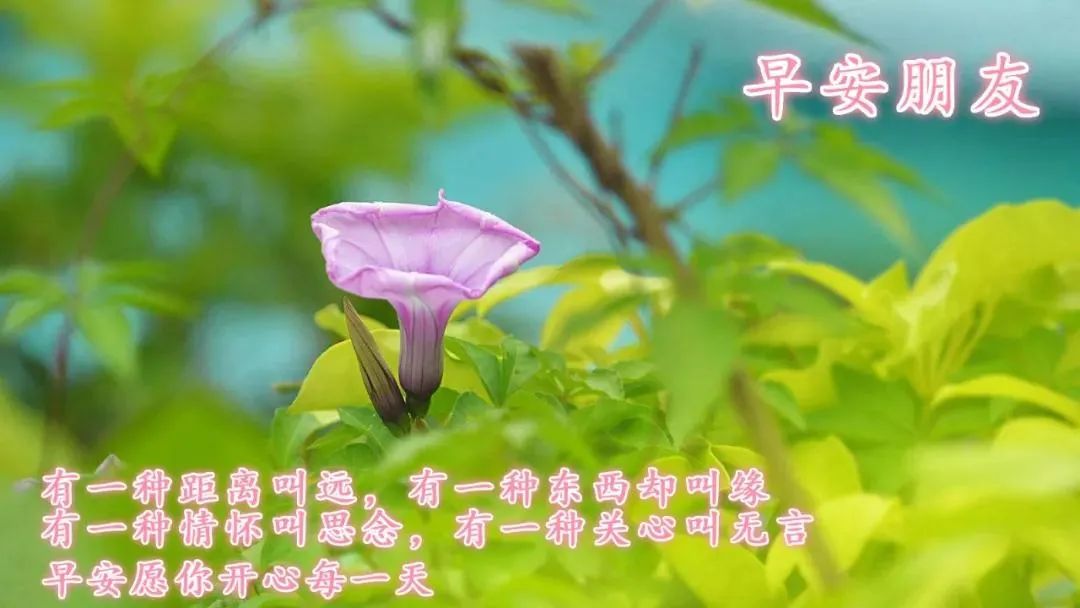 看淡生活美好的说说_看淡生活的文案_看淡一切好好生活的句子
