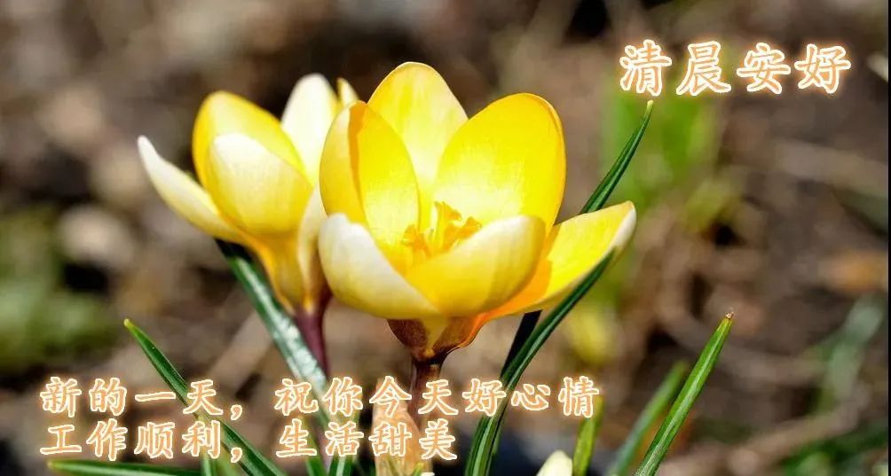 看淡生活的文案_看淡一切好好生活的句子_看淡生活美好的说说
