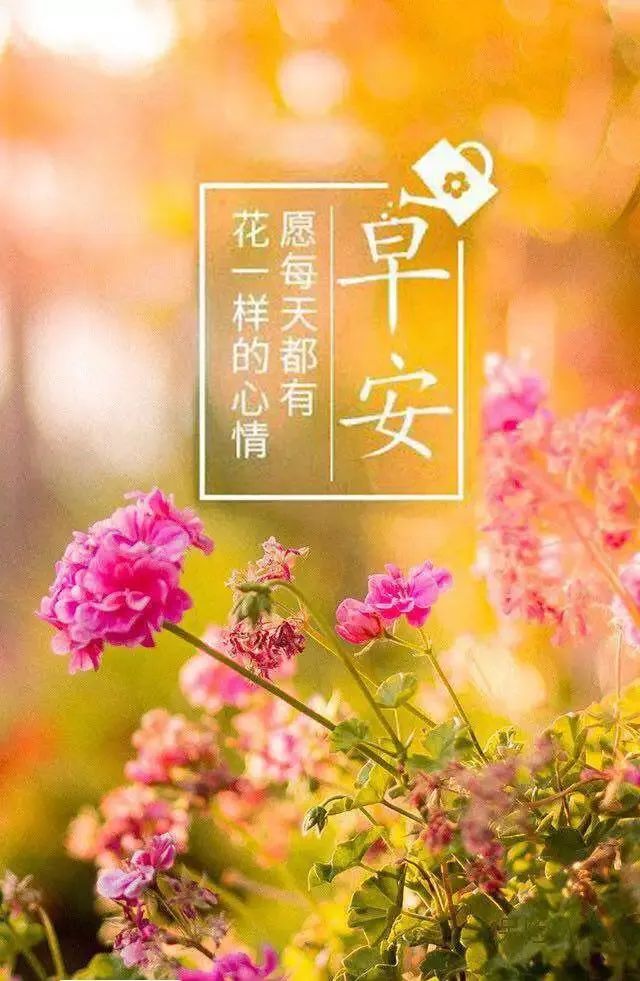看淡生活美好的说说_看淡生活的文案_看淡一切好好生活的句子