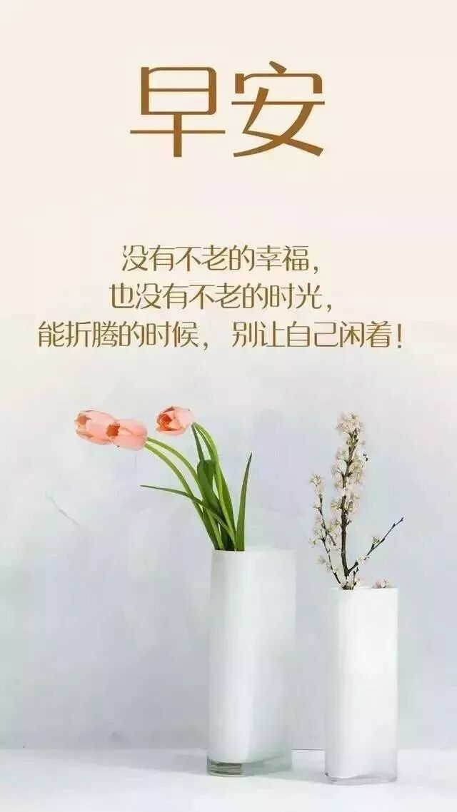 励志朋友圈早安问候语朋友圈早安心语正能量 早安晚安心语正能量励志语录 微信公众号文章阅读 Wemp