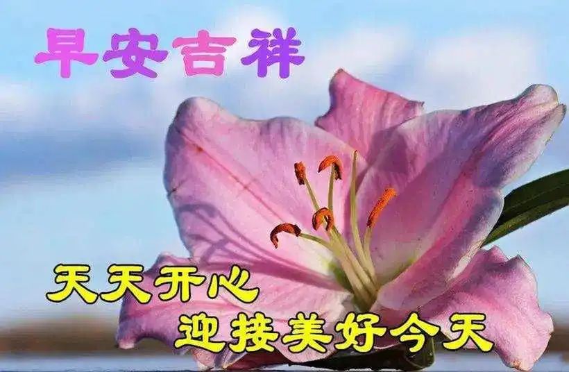 看淡生活就好的说说图片_看淡生活就好的说说图片_看淡生活就好的说说图片