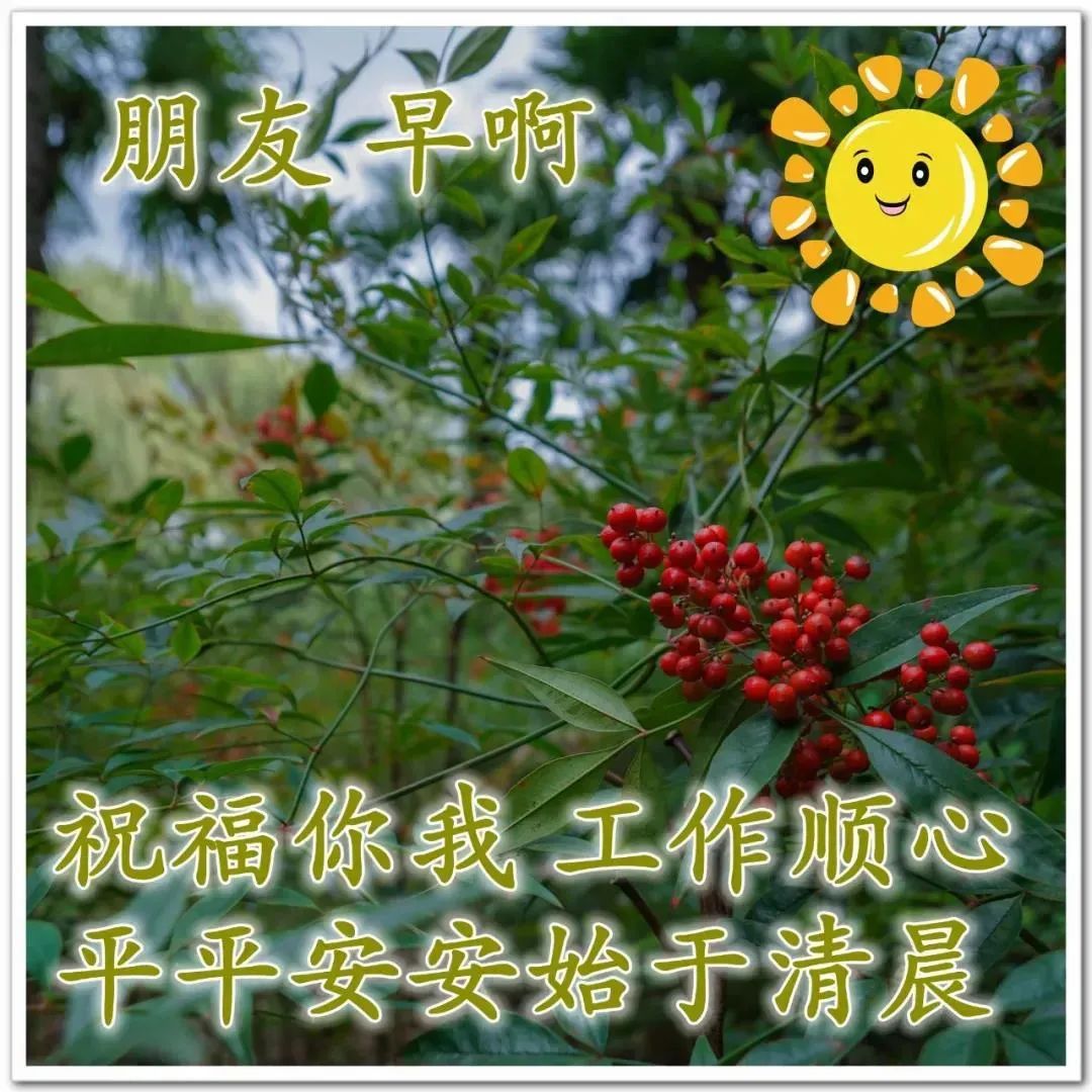 看淡生活的文案_看淡一切好好生活的句子_看淡生活美好的说说
