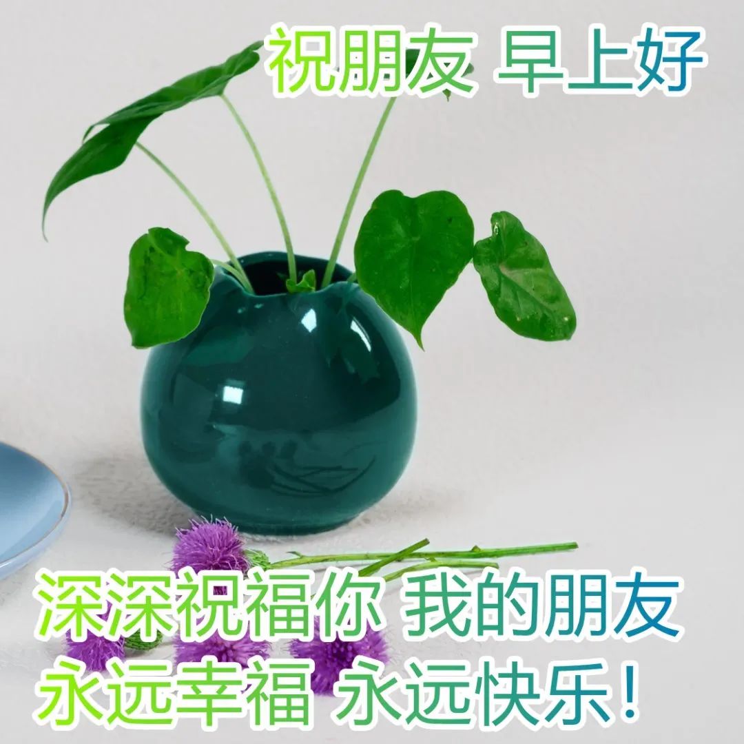看淡生活的文案_看淡生活美好的说说_看淡一切好好生活的句子