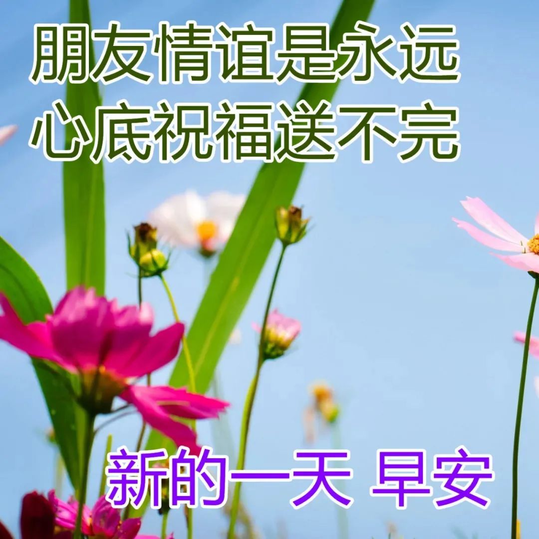 看淡生活就好的说说图片_看淡生活就好的说说图片_看淡生活就好的说说图片