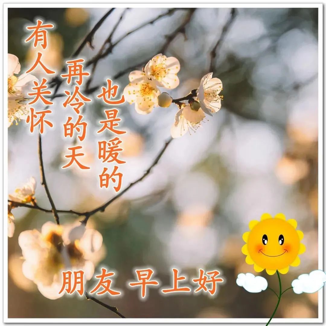看淡生活美好的说说_看淡一切好好生活的句子_看淡生活的文案