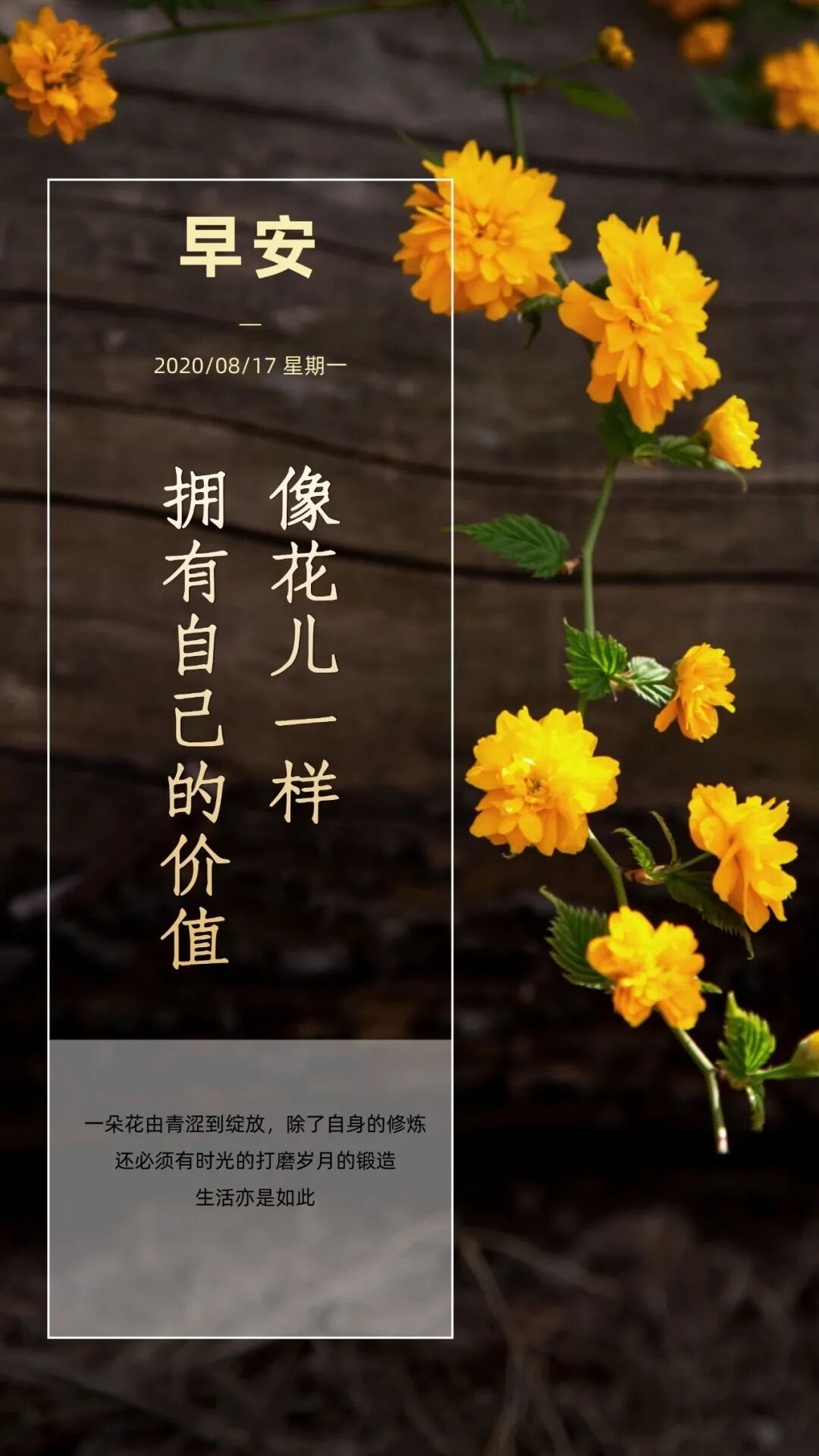 它就送回什么,你播种了什么就是会收获什么,你给予什么就会得到什么