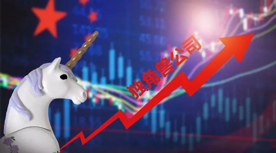 中国新经济的尴尬时刻:小米市值蒸发1700亿