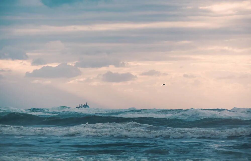 一次性导尿包怎么用品类大扩围！低值耗材集采结果公布（附名单）_https://www.jmylbn.com_新闻资讯_第1张