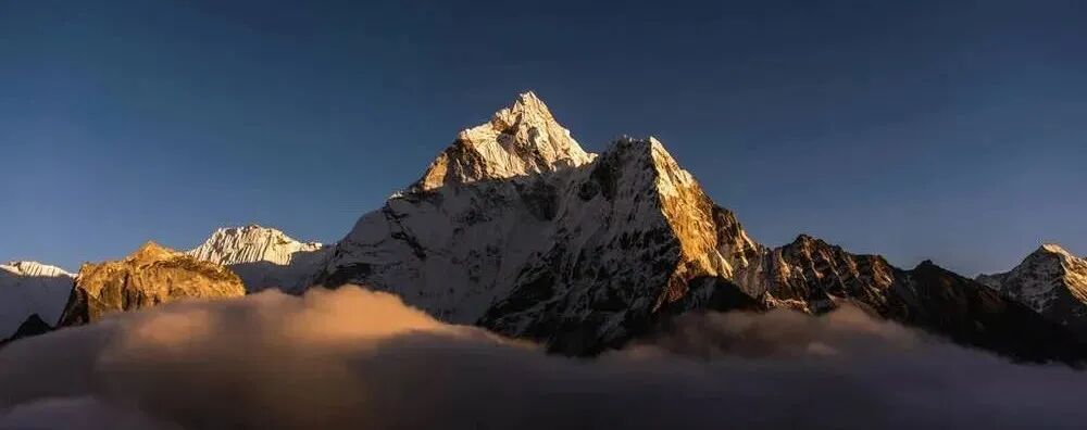 介入耗材哪些公司血管介入耗材集采结果公布（附名单）_https://www.jmylbn.com_新闻资讯_第1张