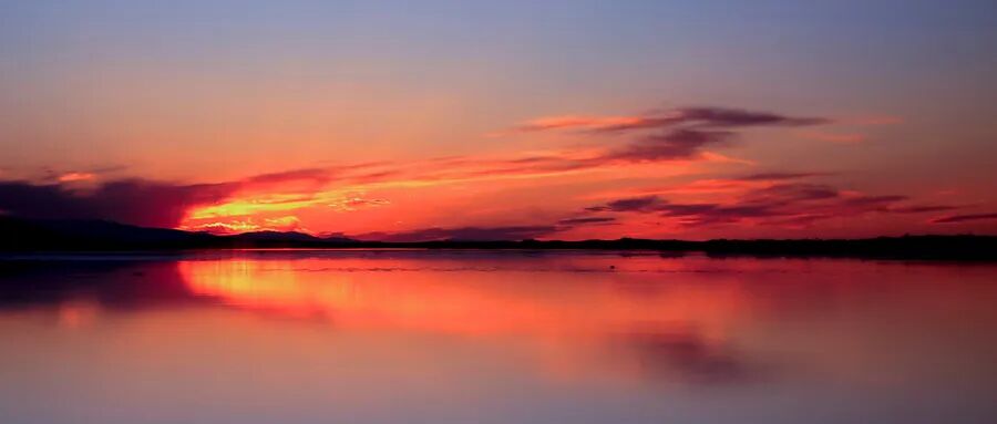 骨科什么耗材比较好卖耗材大品种集采结果出炉（附名单）_https://www.jmylbn.com_新闻资讯_第1张