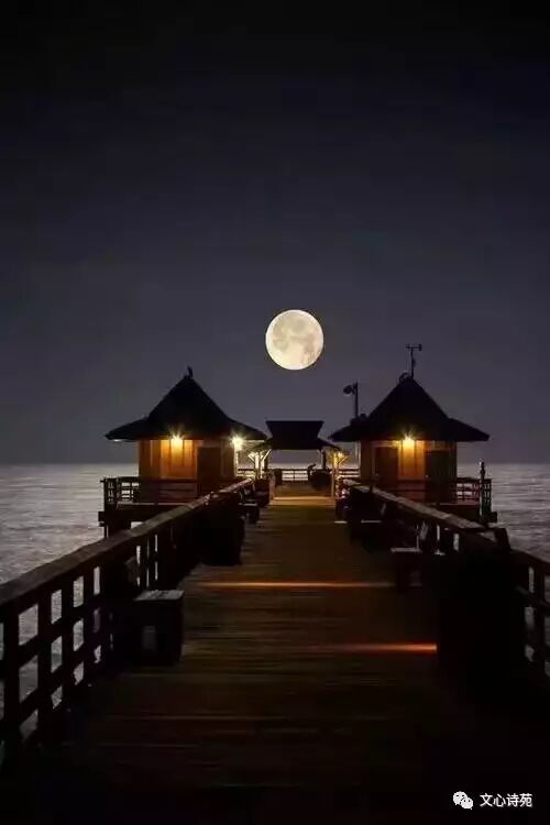 文心诗苑第三十四期同题诗一个人的月亮