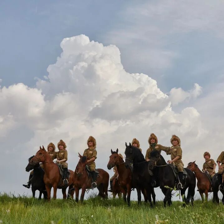 简介谨以此剧致敬革命先烈致敬人民骑兵致敬草原儿女一部反映时代转折