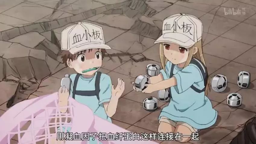《工作細胞》——這部擬人化的日本動畫，火爆了！ 動漫 第19張