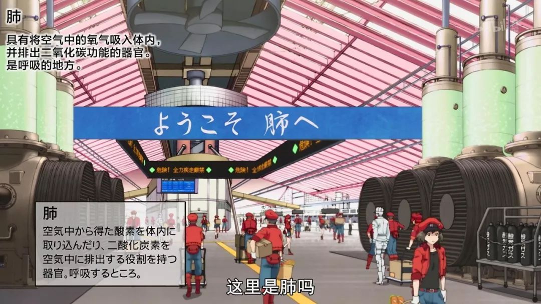 《工作細胞》——這部擬人化的日本動畫，火爆了！ 動漫 第2張