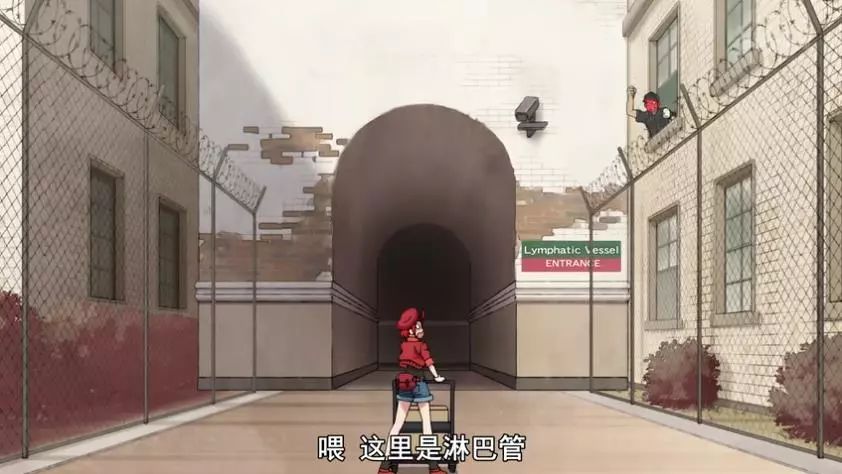 《工作細胞》——這部擬人化的日本動畫，火爆了！ 動漫 第6張