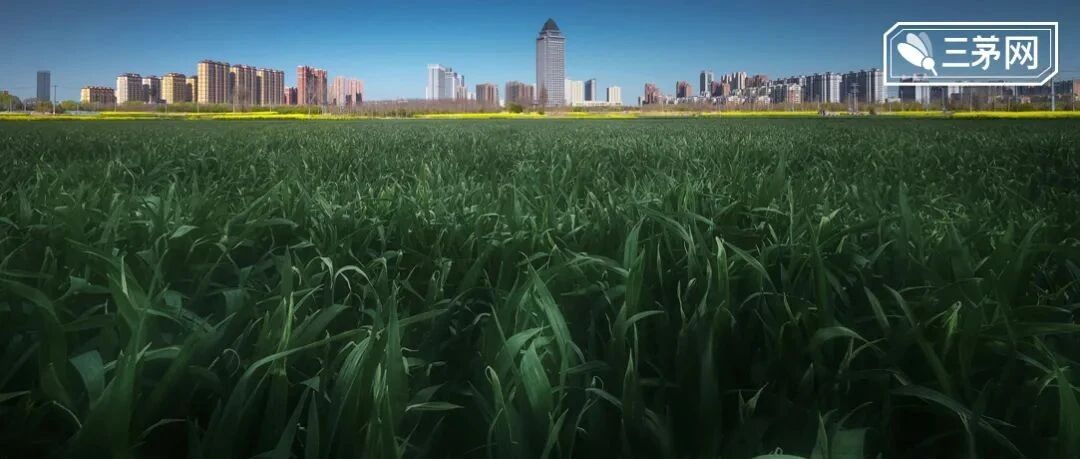 面试官问“为什么3个月没上班”，说出实情后，HR瞬间态度大变...