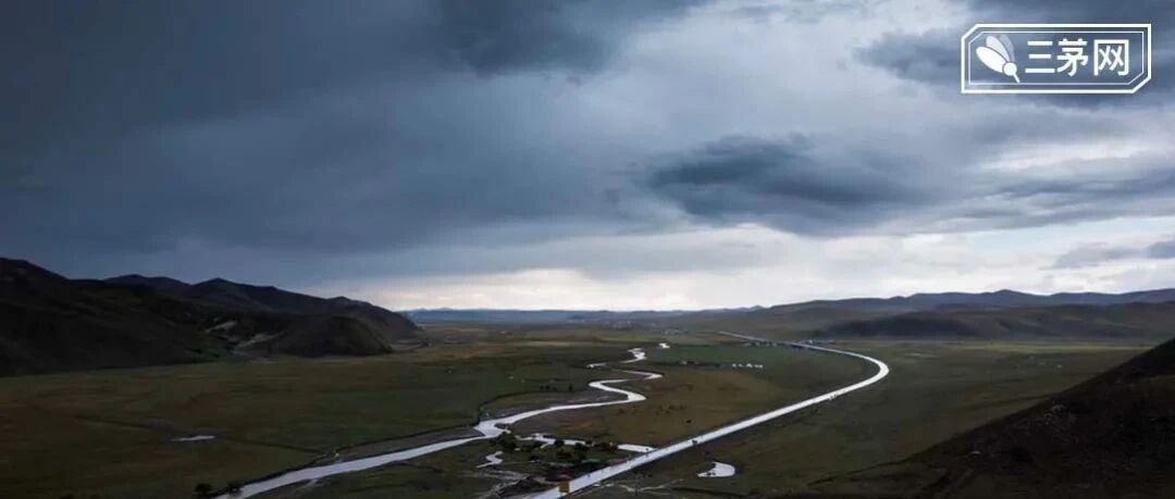 越是虚伪的人，越喜欢把这4句话挂在嘴边，最好别深交！
