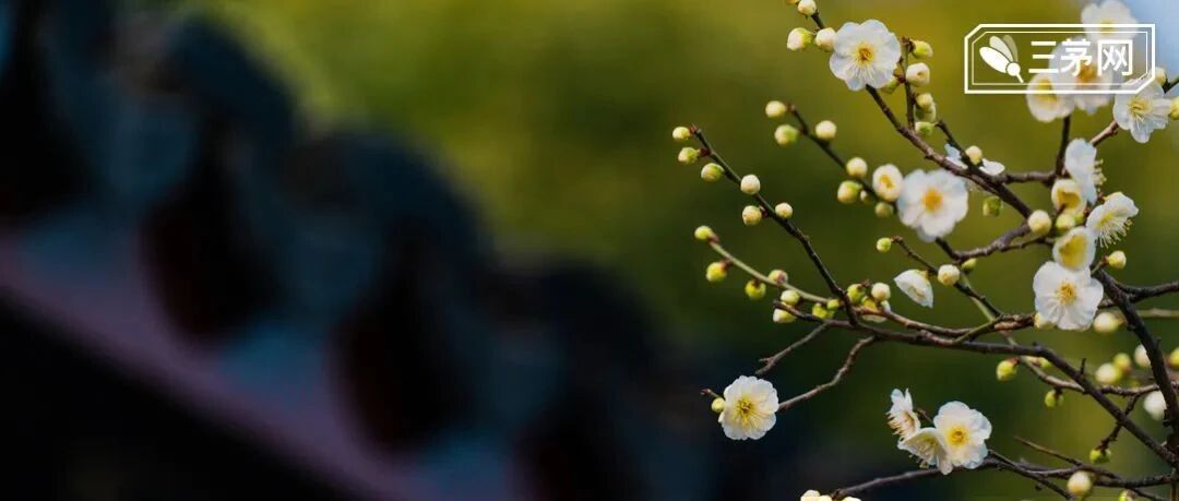 海底捞关店300家不裁员：危机时刻，最见一个企业的格局