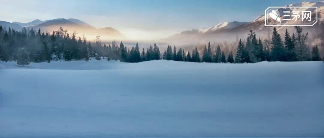 23岁交不起房租，27岁年薪30W：升职加薪快的HR都做了这两件事