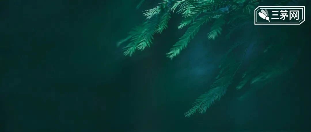 “我在小红书偷偷帮人改简历，月入过万...”