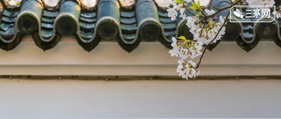 亚马逊的HR又出事了...