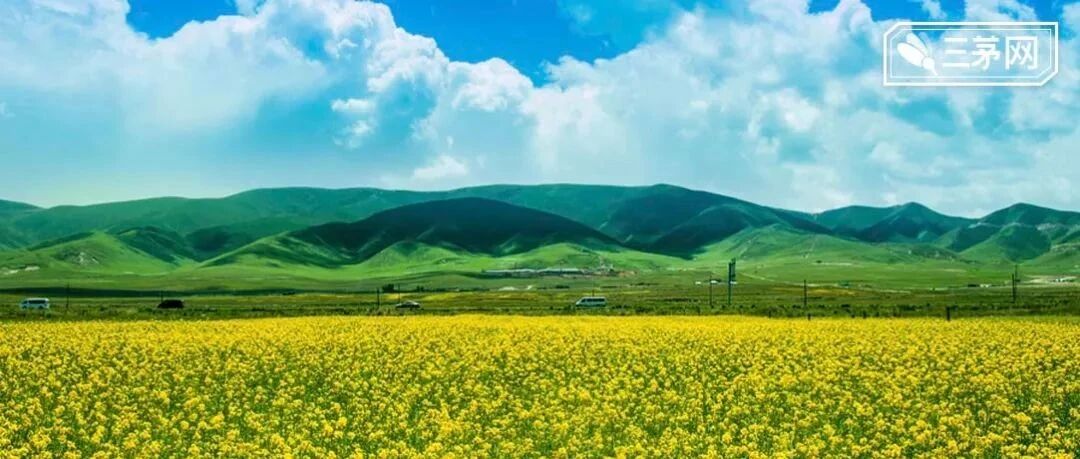 董小姐的“一人一套房”还没实现，“少交公积金”就东窗事发：这世上真有好老板？