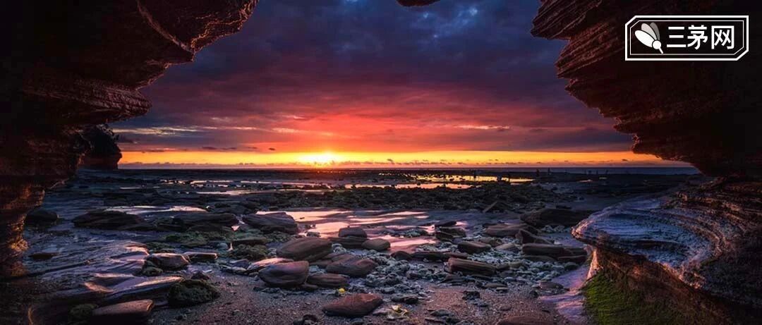 郑爽被曝跳楼自杀，真相公布：“12年赚12亿，可我还是很穷！”