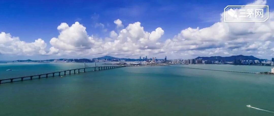 董明珠的接班人出现了！这个22岁的姑娘，凭什么？