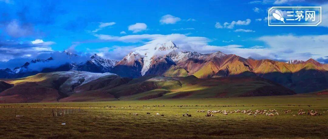 65岁陈道明再度爆红：一个人真正的强大，从独来独往开始