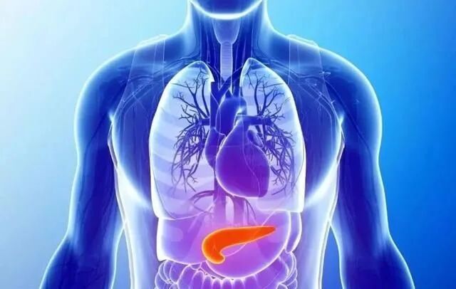 胰腺癌的病因与预防