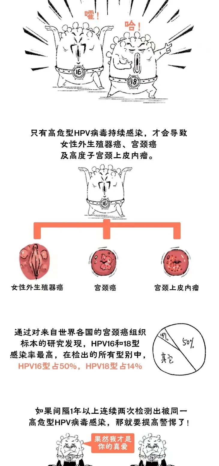 hpv52阳性是什么意思