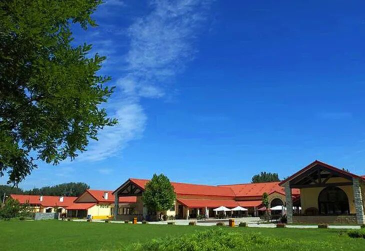 意大利农场开patty嗨玩圣诞元旦豪华自助大餐扎染diy树根蛋糕圣诞树