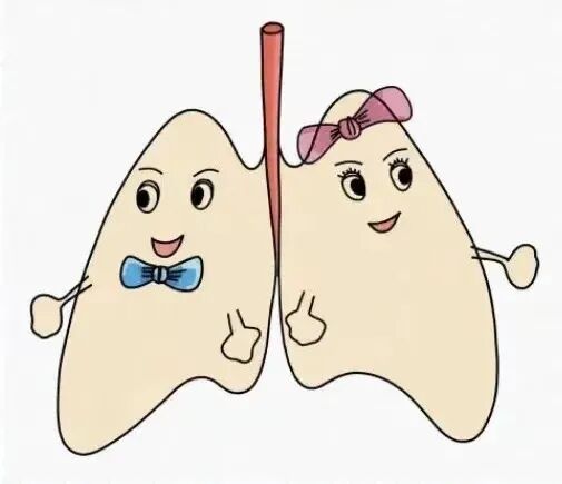 血氧饱和度是指什么小肺科普：什么是血氧饱和度？_https://www.jmylbn.com_新闻资讯_第2张