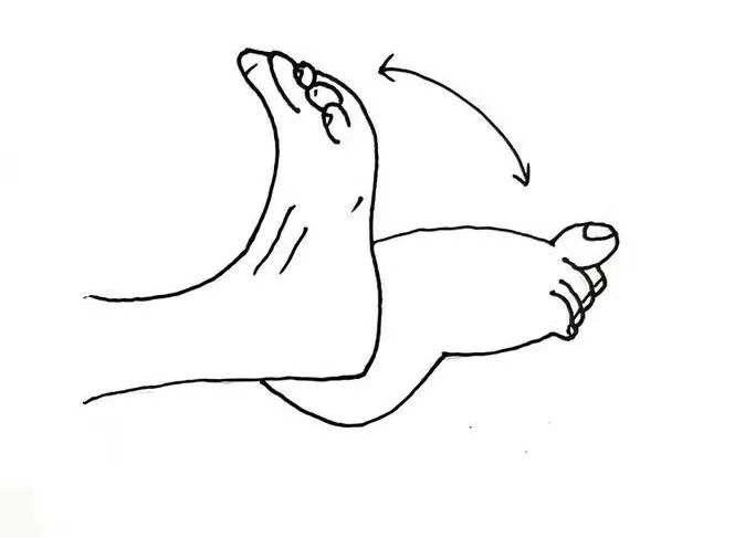 抗栓泵怎么用【健康科普】预防血栓知多少 小肺带你来探讨_https://www.jmylbn.com_新闻资讯_第7张
