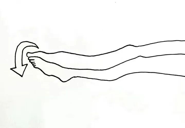 抗栓泵怎么用【健康科普】预防血栓知多少 小肺带你来探讨_https://www.jmylbn.com_新闻资讯_第5张