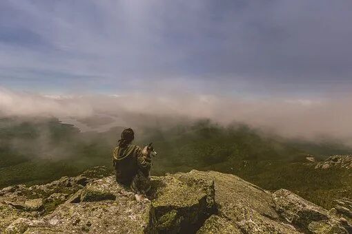 640.jpg